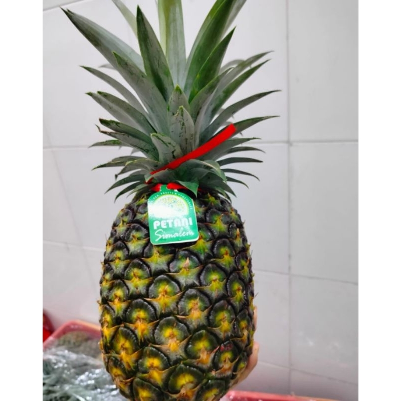 

Nenas Organik Simalem Buah Segar Fresh Panen Kualitas Premium Terlaris