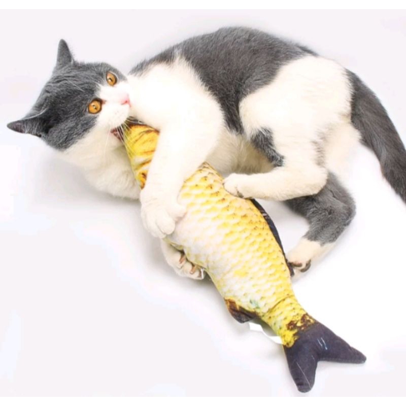 CATNIP IKAN MURAH (IKAN TIDAK BERGERAK) - MAINAN KUCING CATNIP IKAN MURAH CATNIP FISH