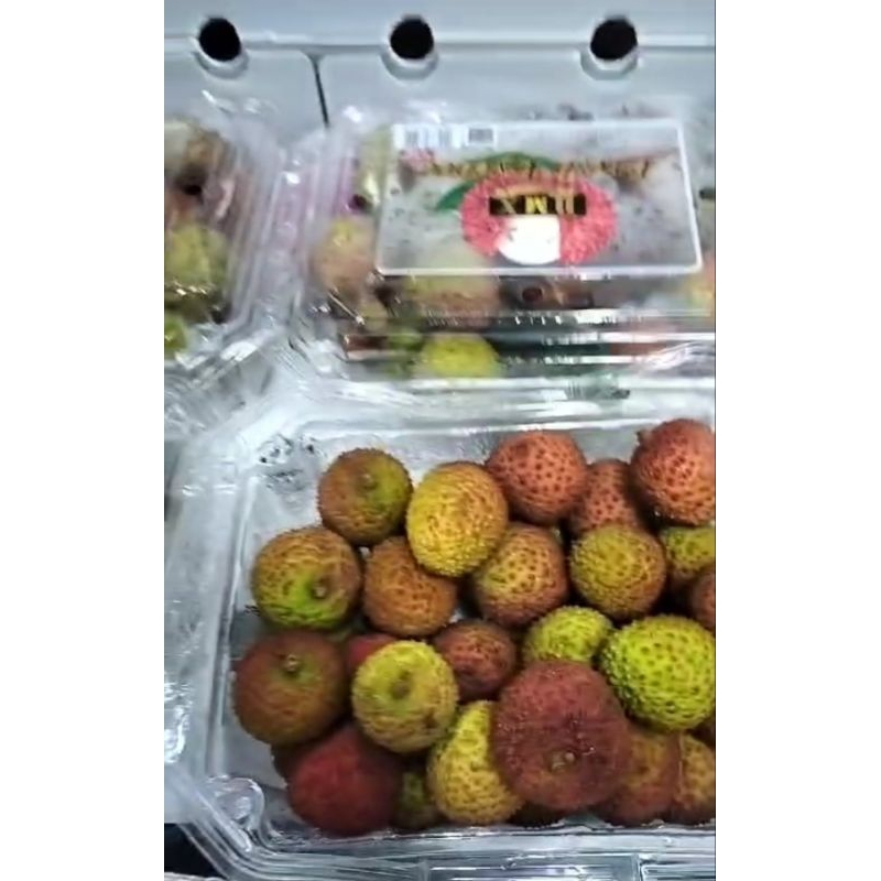 

BUAH LECI MADU PREMIUM GRADE A