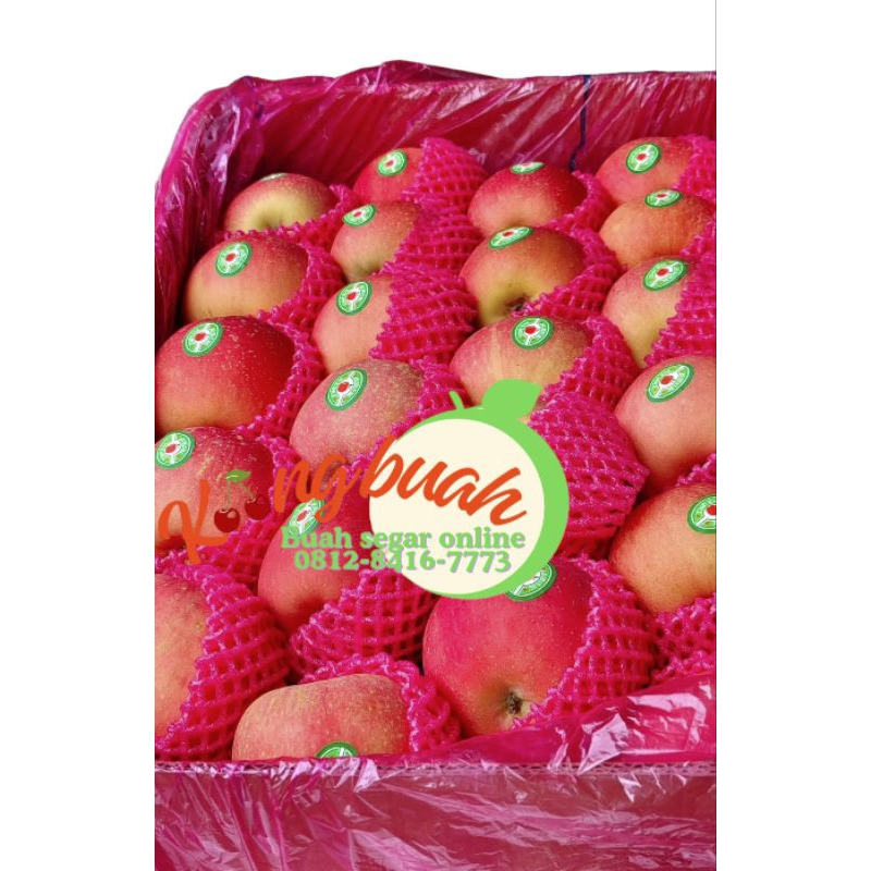 

Apple Fuji Premium