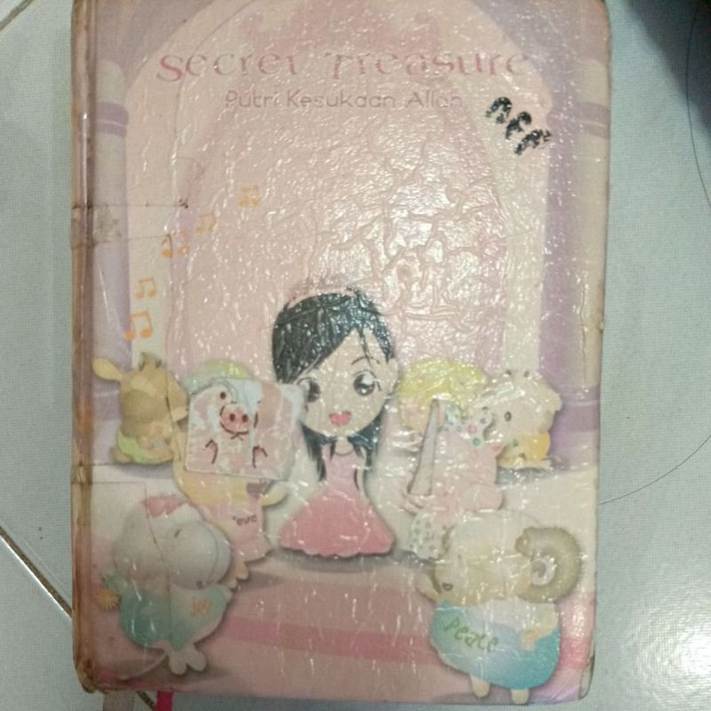 Alkitab Secret Treasure Pink (baca deskripsi)