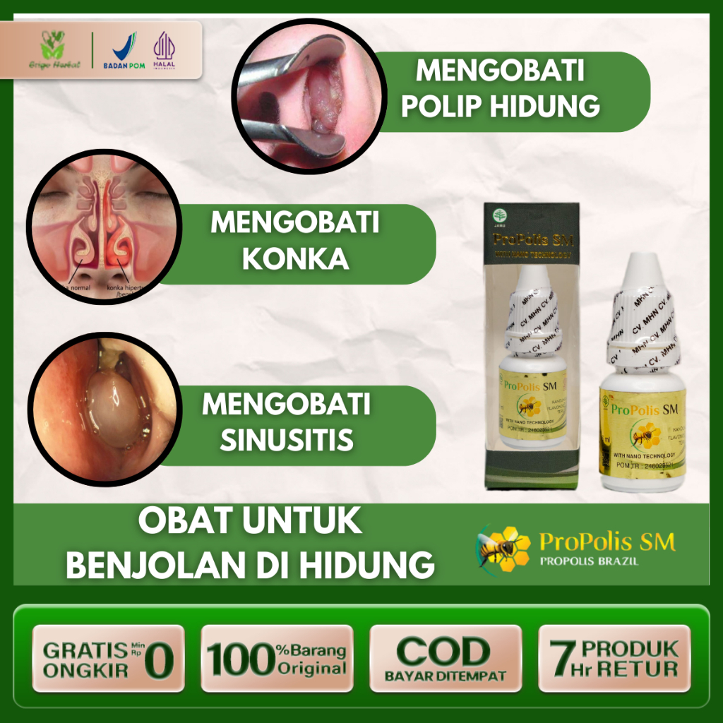 Obat Benjolan di Dalam Hidung Pembesaran Konka Obat Polip Hidung Kronis Sinusitis