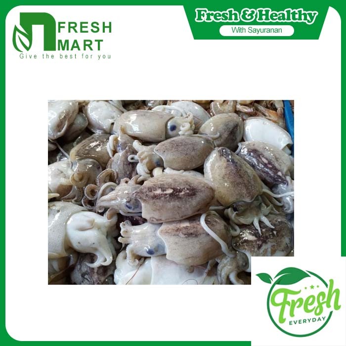 

SOTONG CUMI SOTONG - NFRESH MART