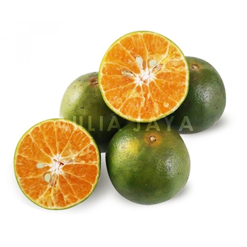 

Buah segar jeruk peras fresh murah