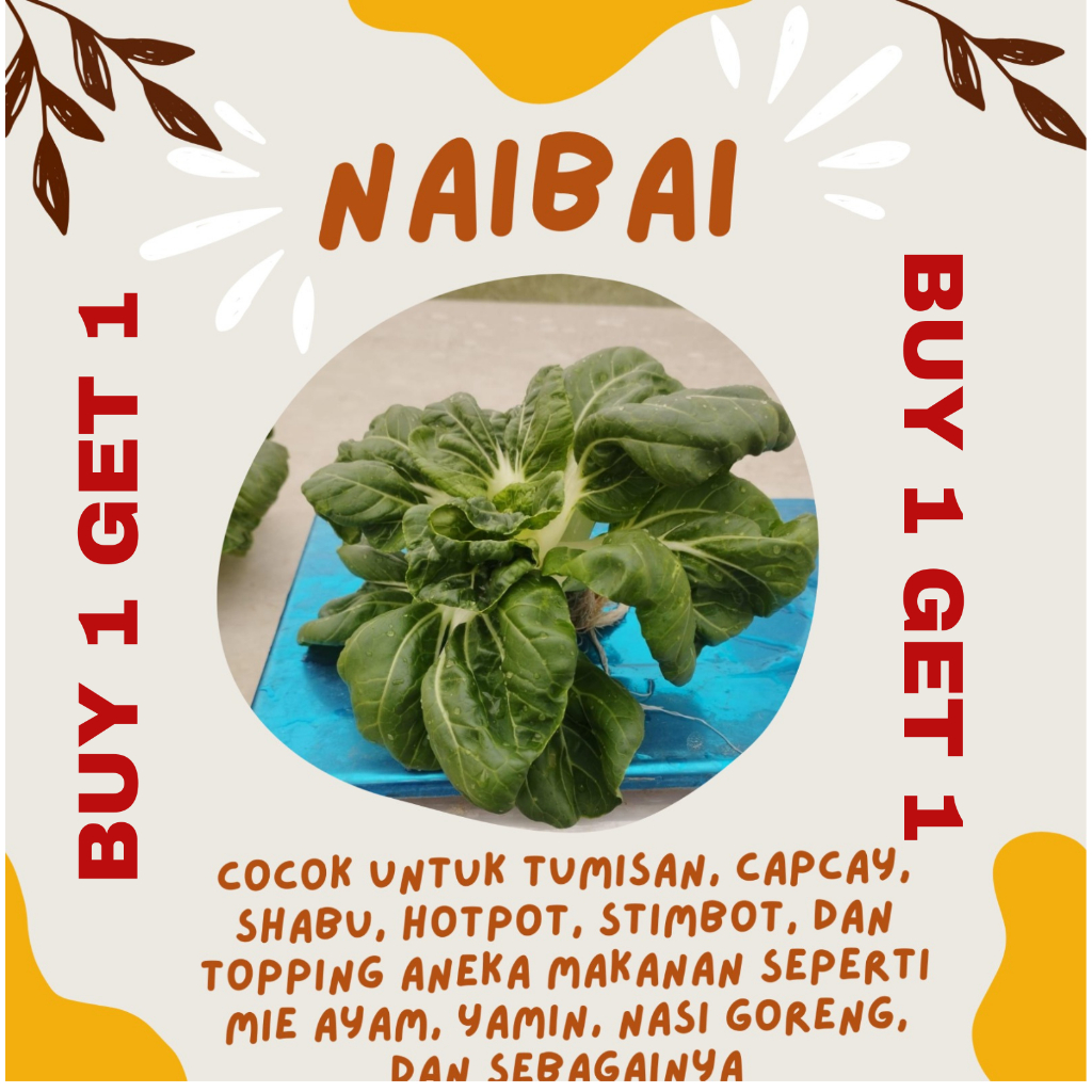 

BUY 2 FREE 1 NAI BAI (Pakchoi Cebol) (Hydroponic)