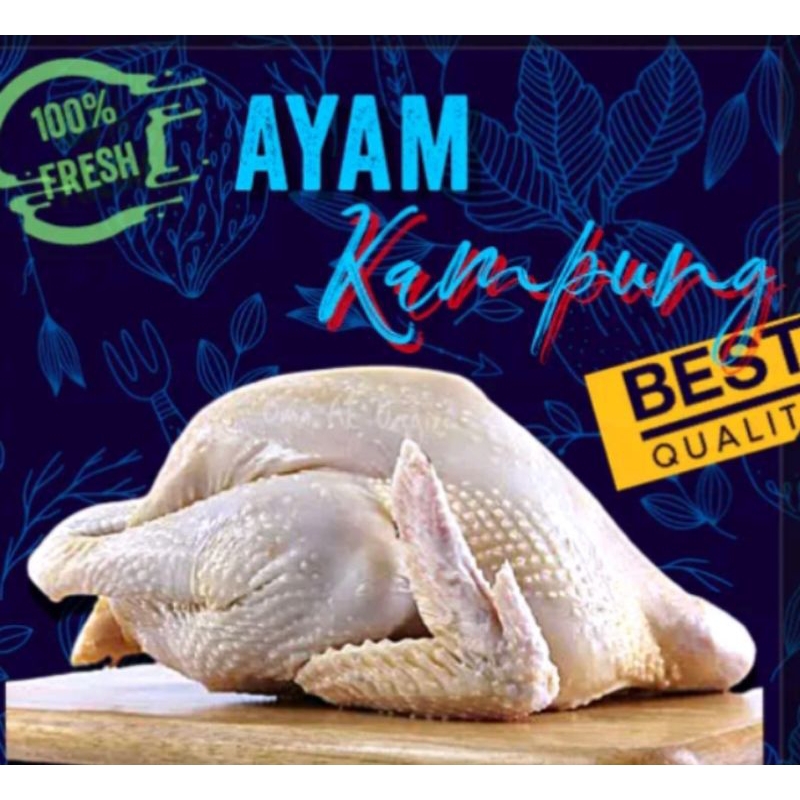 ayam kampung potong segar bersih asli organik 1kg/ daging ayam kampung