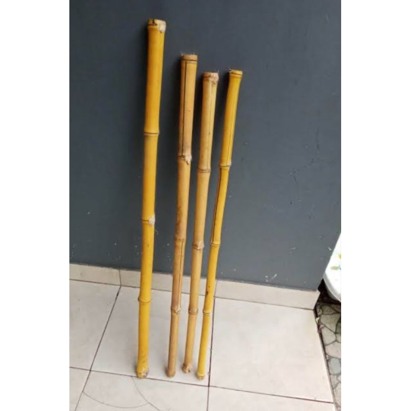 Batang bambu kuning asli panjang 1 meter untuk tongkat