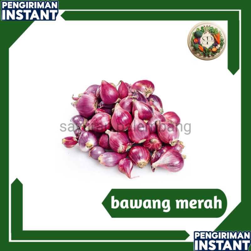 

bawang merah - sayuran palembang