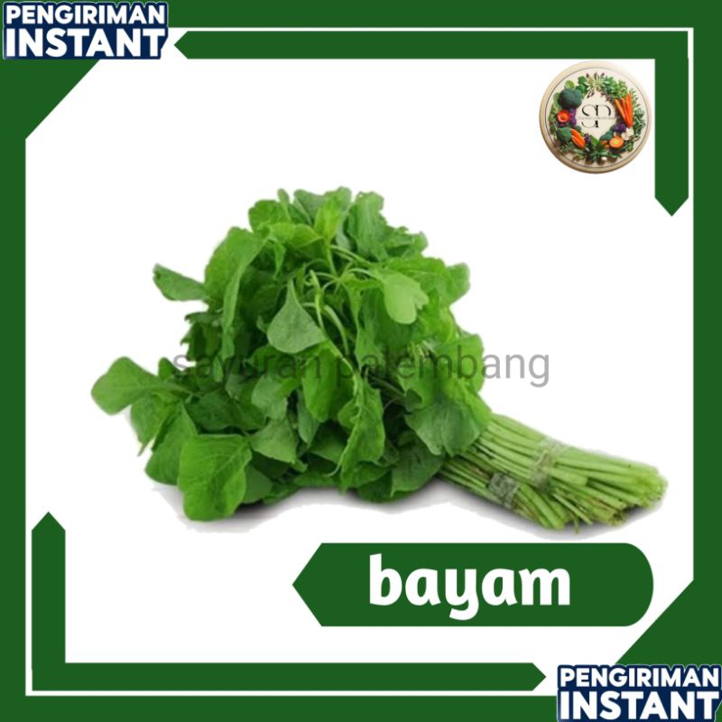 

sayur bayam per ikat - sayuran palembang