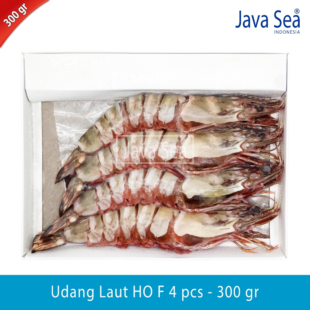 

Udang Laut Utuh Ada Kepala HO F-4 pack 300gr Java Sea