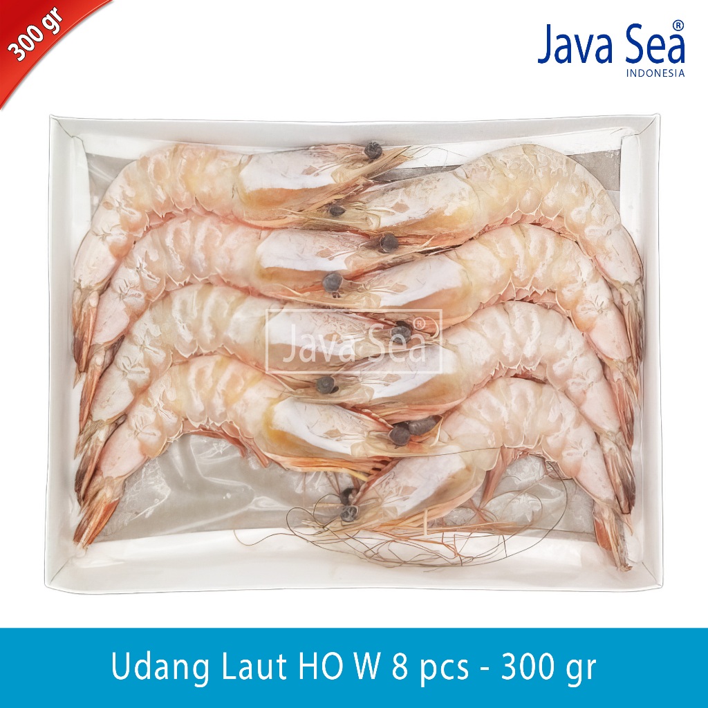 

Udang Laut Utuh Ada Kepala HO W-8 pack 300gr Java Sea