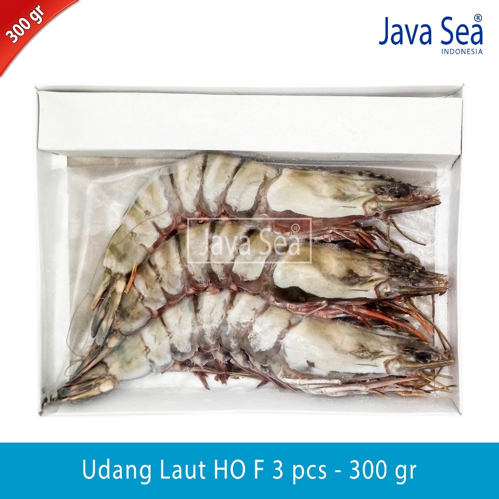 

Udang Laut Utuh Ada Kepala HO F-3 pack 300gr Java Sea
