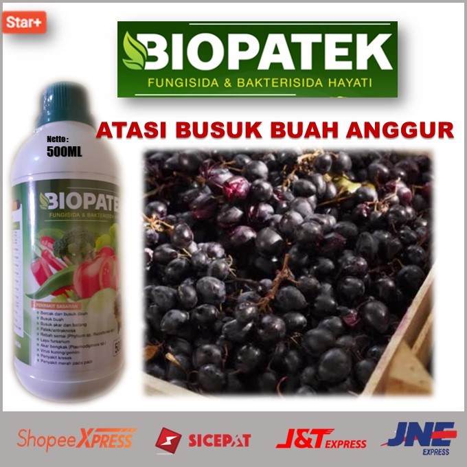 Harga Promo Pupuk Atasi Busuk Buah Anggur Terbukti Secara Ampuh – Pupuk Cair Biopatek Fungisida & Ba