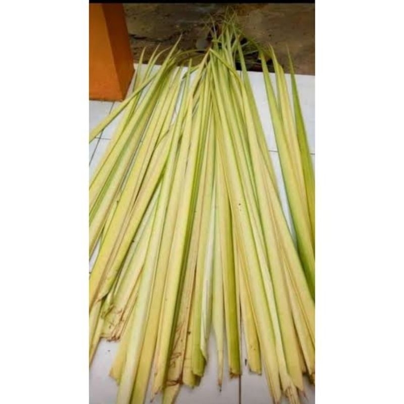 

Janur kuning daun kelapa bahan ketupat per ikat