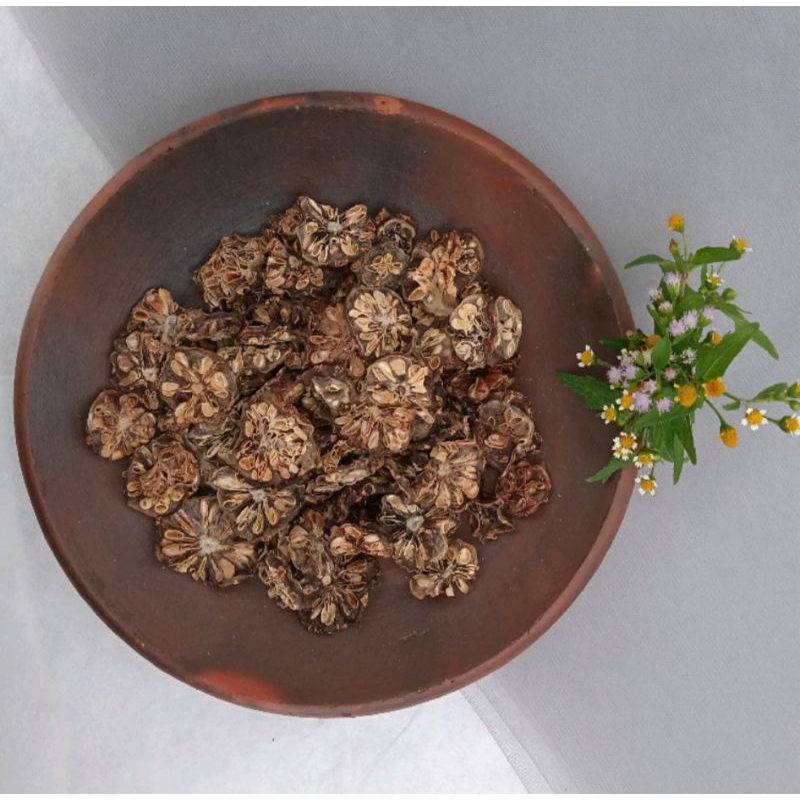 Obat Herbal Mengkudu Kering