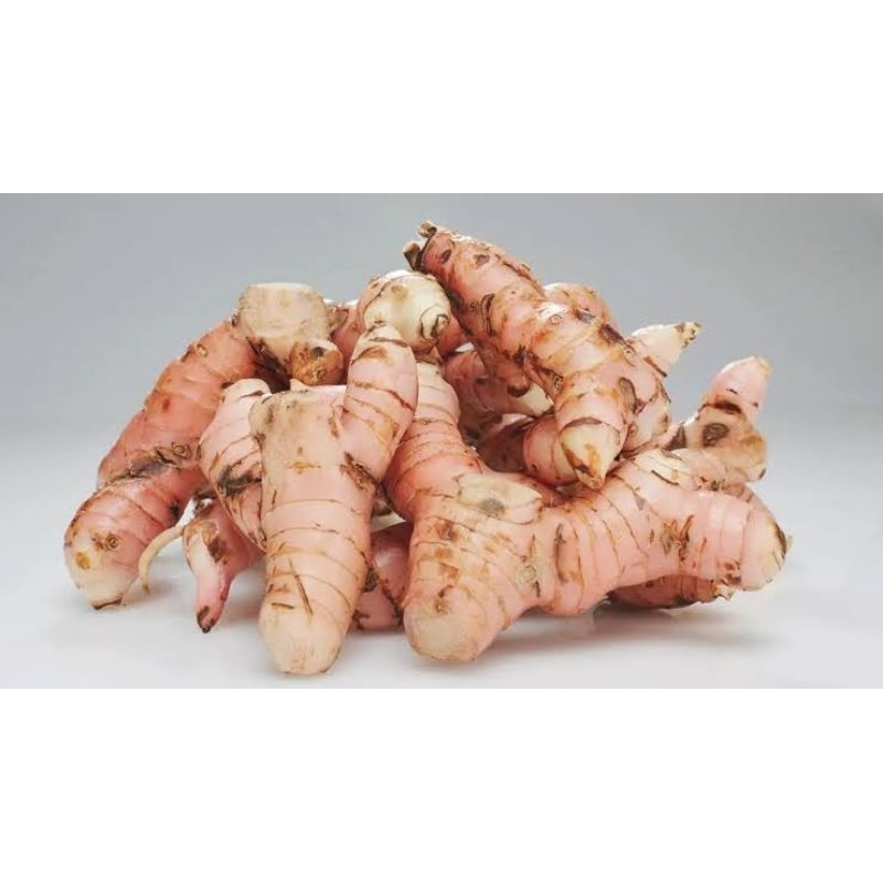 

lengkoas 500gram