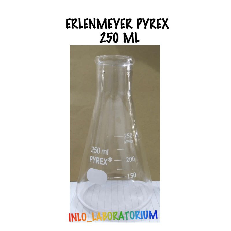 Erlenmeyer IWAKI & PYREX 250 ml/Gelas Erlen/Erlenmeyer