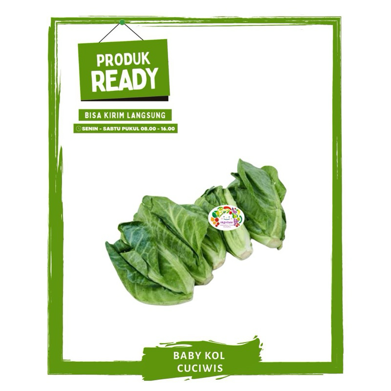 

Baby Kol / Cuciwis / Sayur Sayuran Segar Ready On Mallahrizwa