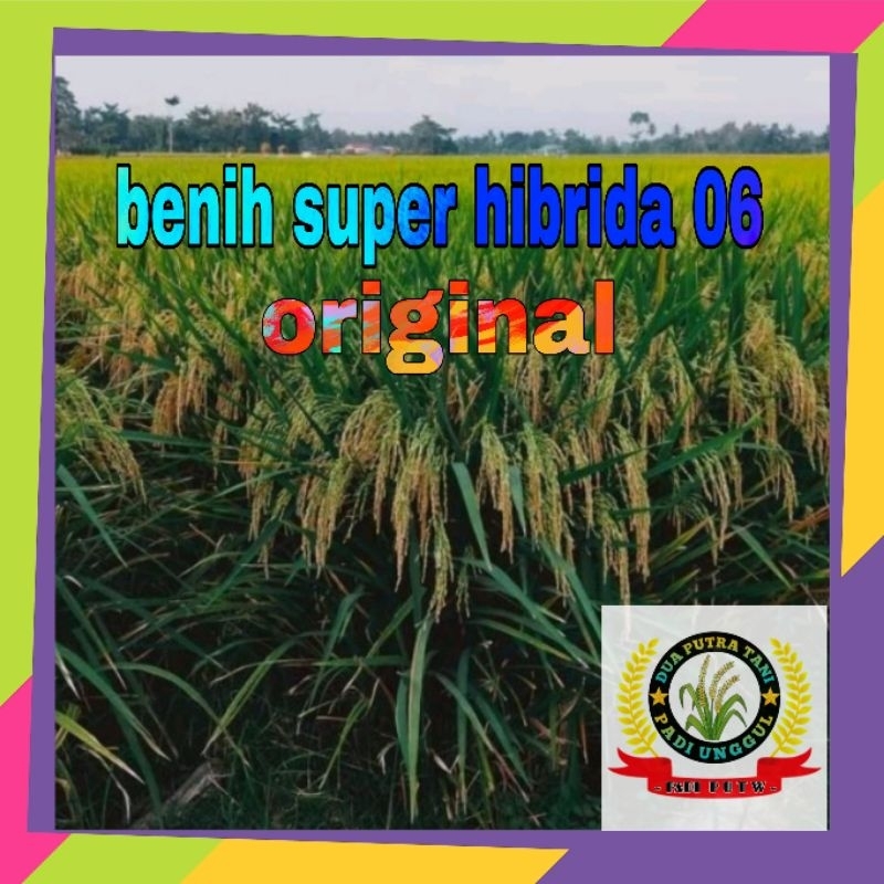 BENIH BIBIT PADI SUPER ORIGINAL HIBRIDA 06 1KG