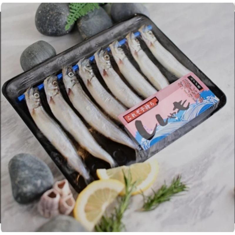 

shisamo fish / ikan capelin