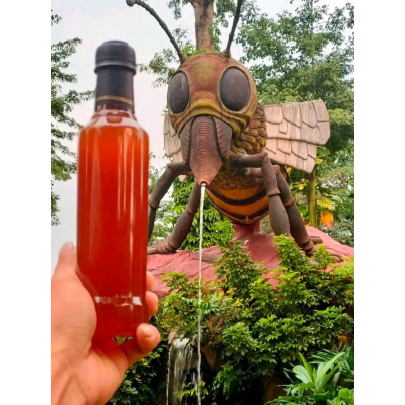 

madu hutan liar 100%ASLI MADU ODENG |kemasan 460ml (botol)|madu asli tanpa campuran bpom