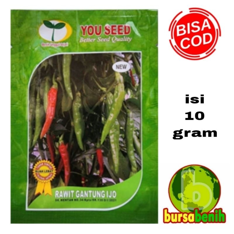 Bibit Benih Cabe Rawit GANTUNG IJO Isi 10 Gram - Benih Bibit Cabai Rawit GANTUNG HIJAU You Seed.