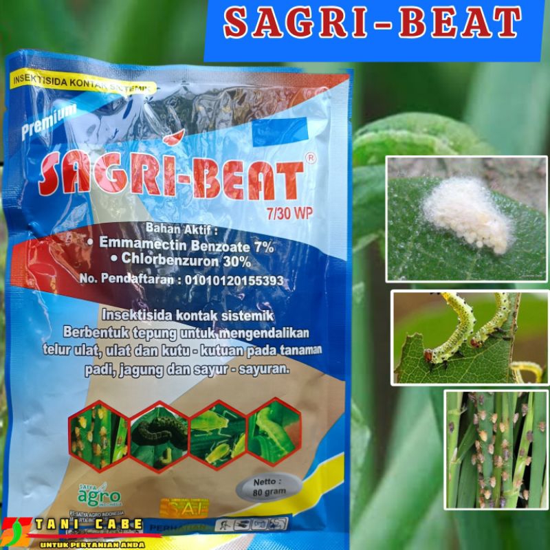 INSEKTISIDA SAGRI BEAT 80 GRAM BASMI HAMA ULAT SAMPAI TELURNYA