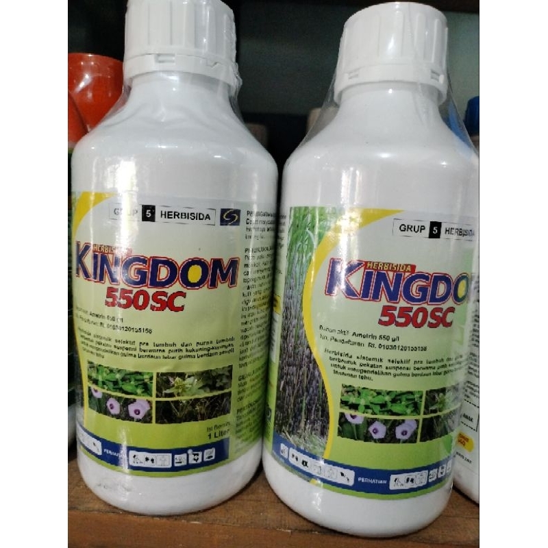 KINGDOM 550SC kemasan 1 ltr  Herbisida lulangan
