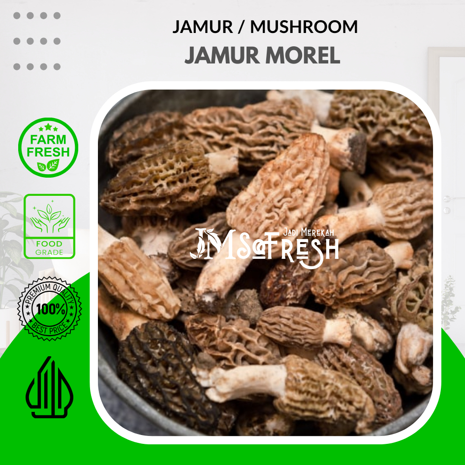 

[JM_SoFresh] Jamur Morel / Morrel Mushroom