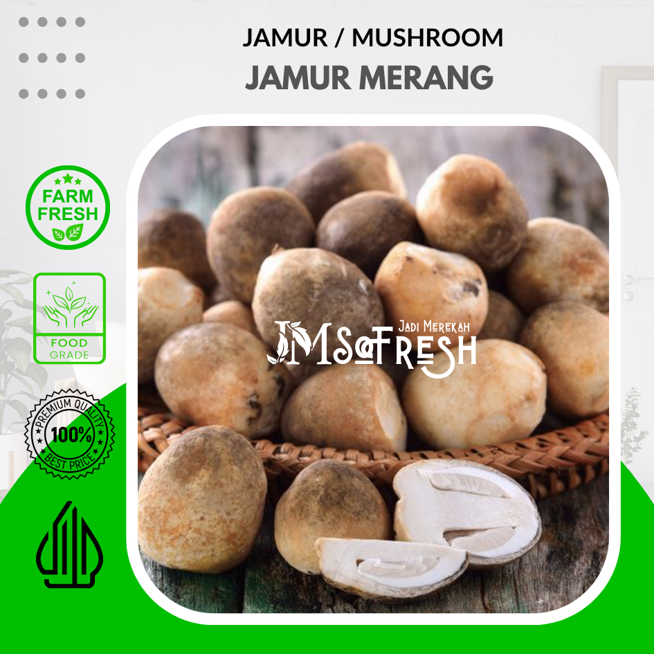 

[JM_SoFresh] Jamur Merang / Merang Mushroom