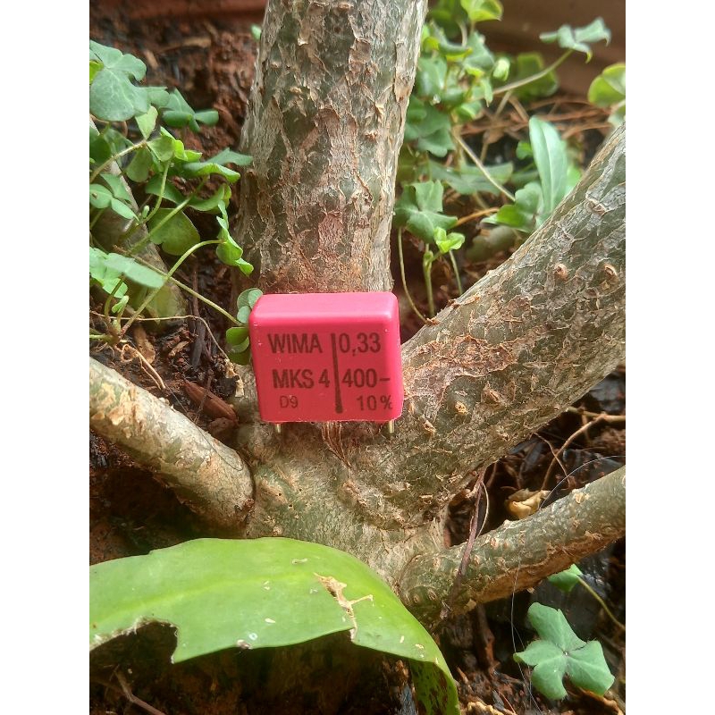 kapasitor 330n 400vdc jarak kaki 15mm wima