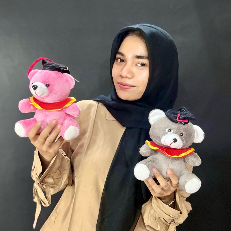 Boneka beruang teddy bear wisuda mini boneka beruang kecil bucket wisuda buket wisuda mini lucu kurn