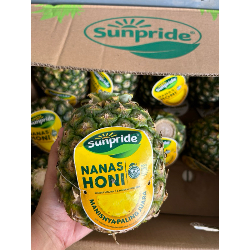 Nanas Honi Sunpride | Nanas Madu | Nanas Sunpride