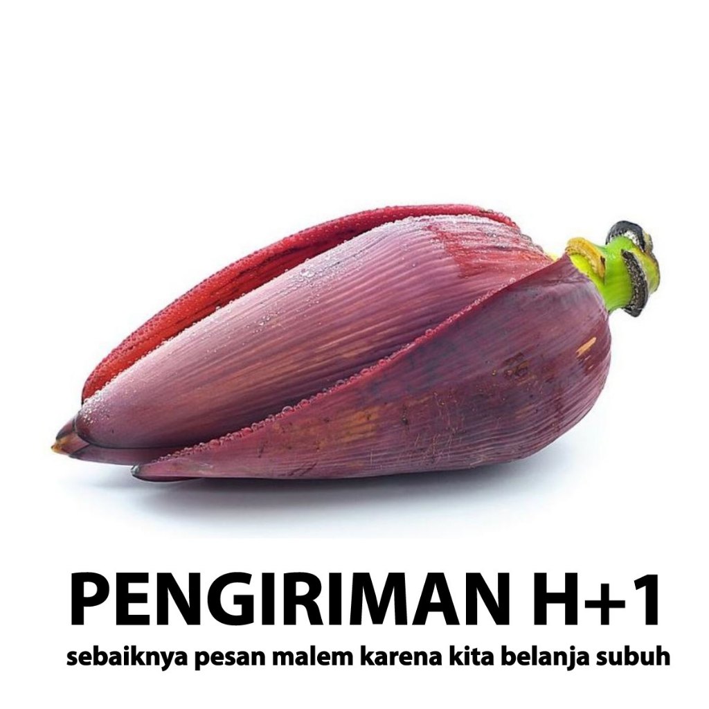 

jantung pisang harga perbuah