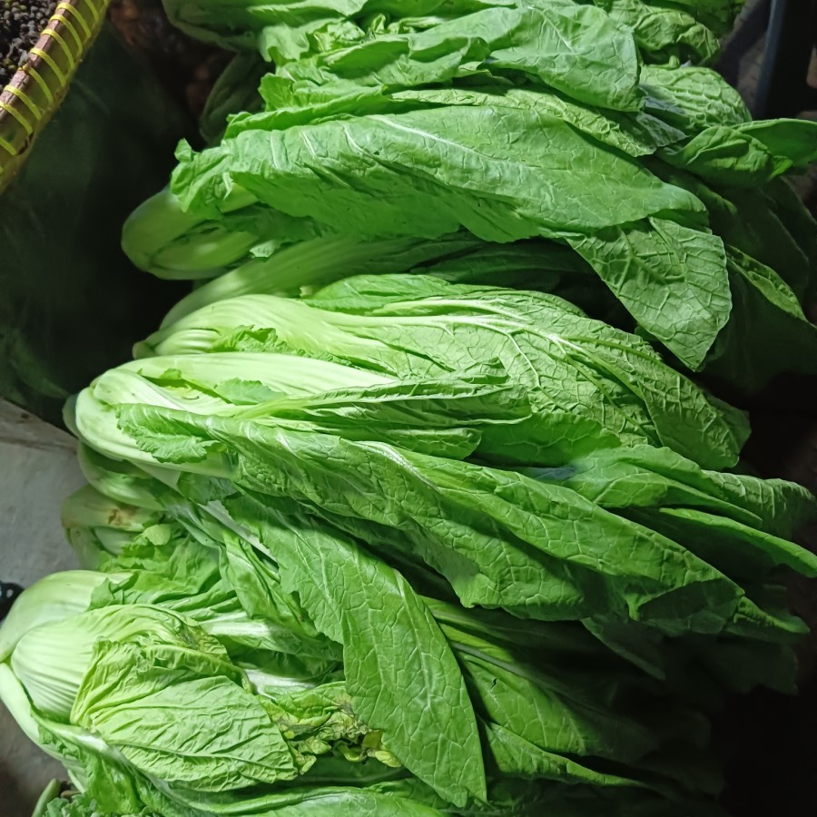 

Sayur Paet / Sayur Pahit Khas Batak / Medan