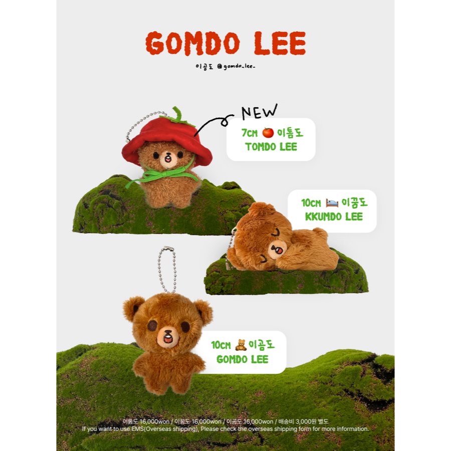[DP PO] Gomdo Lee Doll by @gomdo_lee_ (NCT HAECHAN)