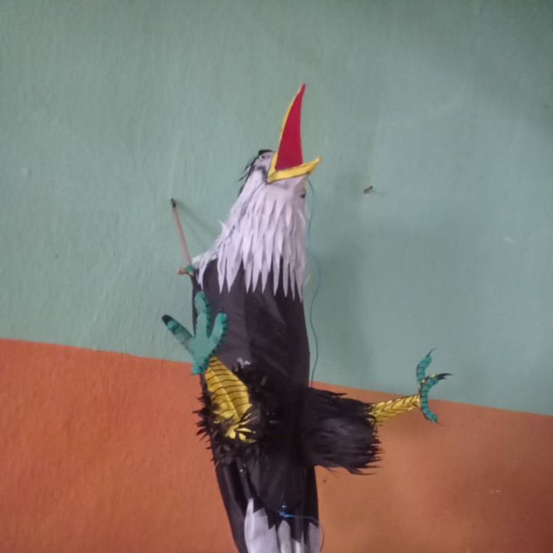 layangan burung elang lipat
