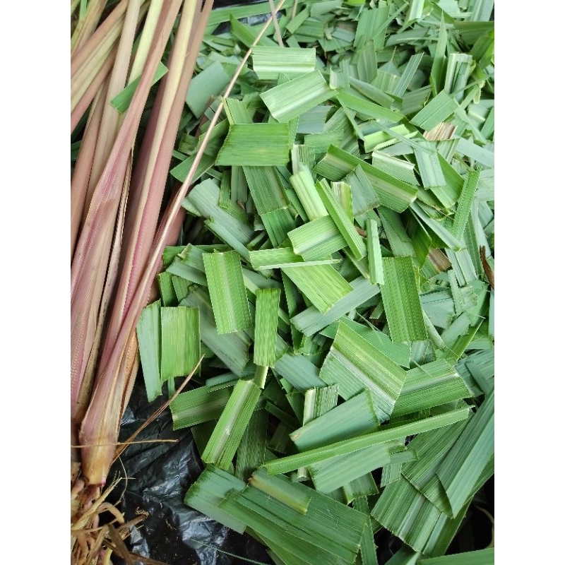 

DAUN SERAI HITAM CACAH 100 GRAM / DAUN SERAI HITAM / SERAI WULUNG SEGAR