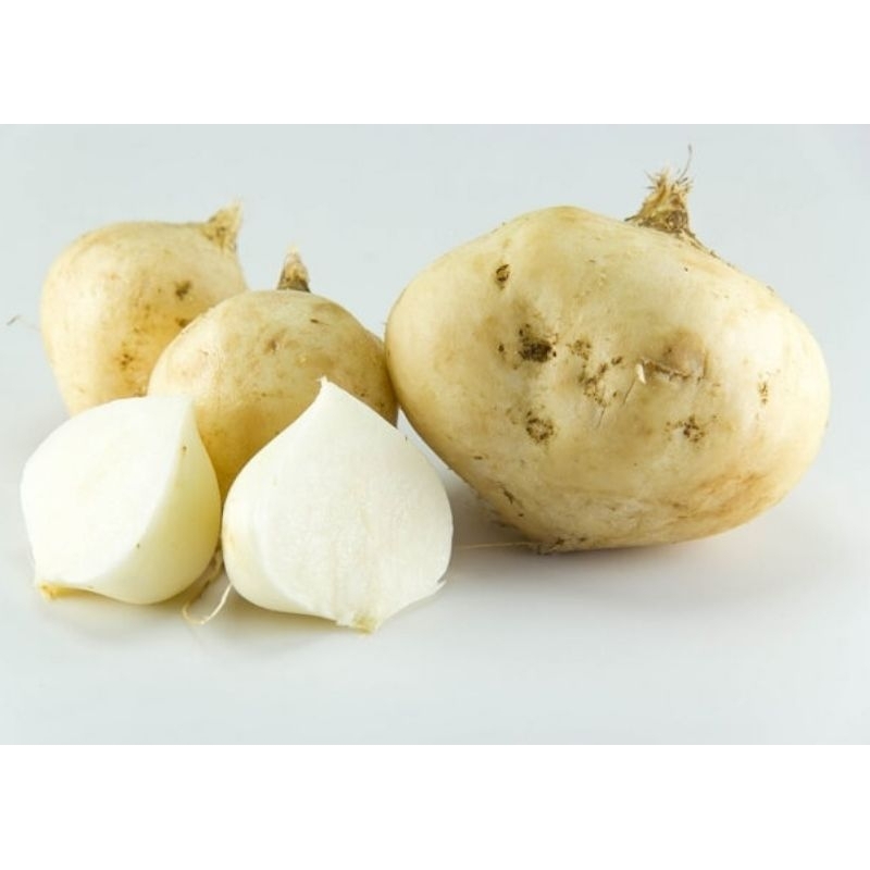 

bengkuang segar 1kg