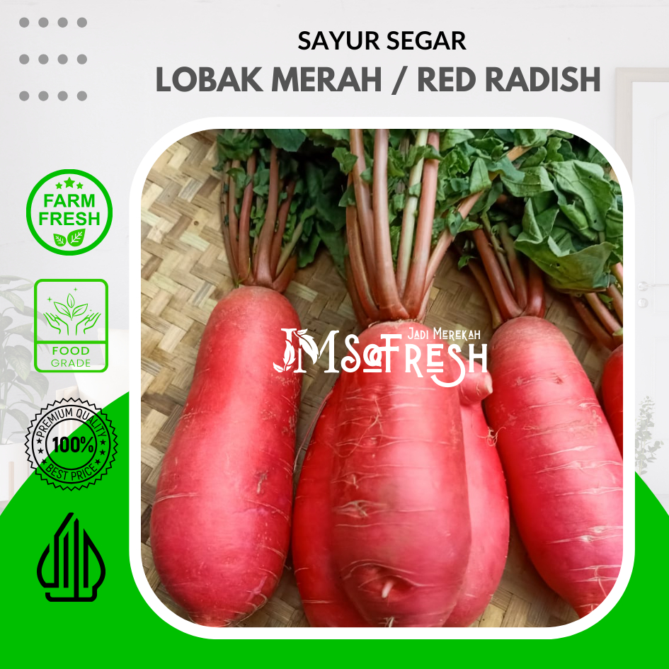 

[JM_SoFresh] 1KG Lobak Merah / Red Radish