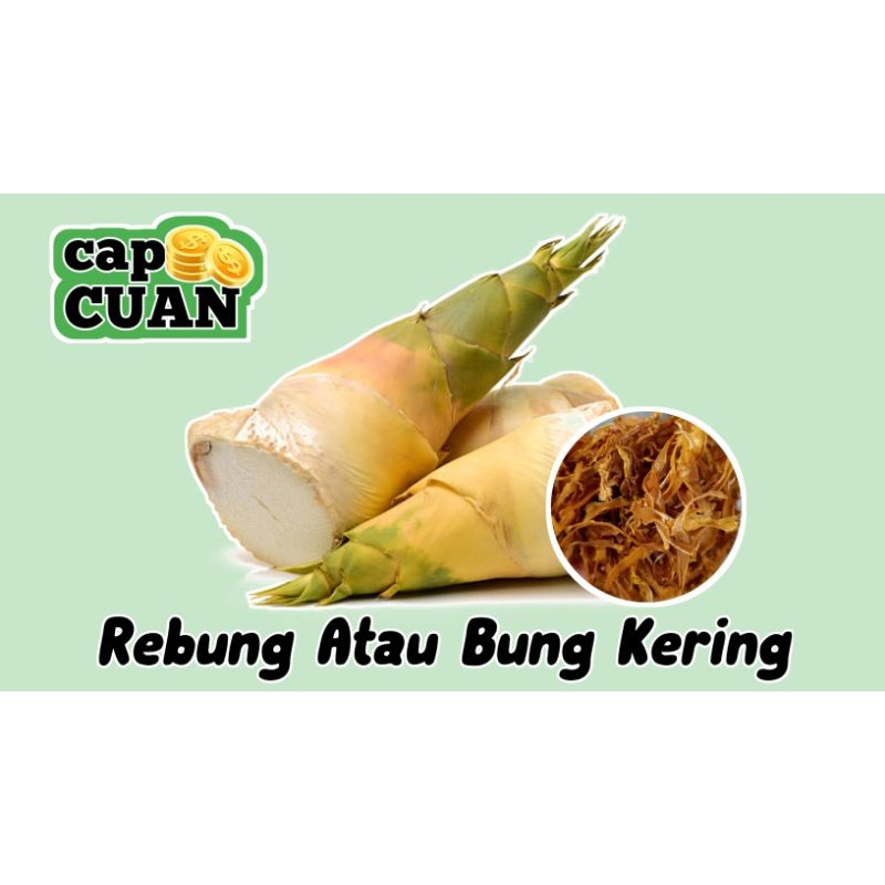 

REBUNG/BUNG BAMBU KERING (KLINGKING) capCUAN