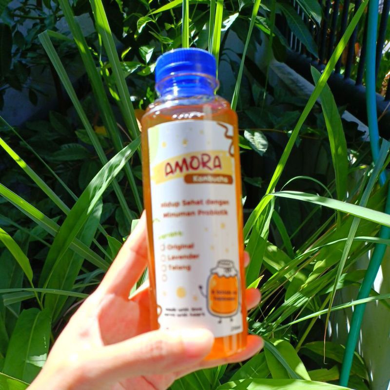 

Amora Kombucha - kombucha tea - teh probiotik