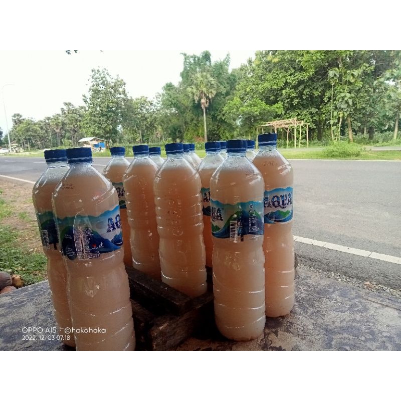 

TOAX TUBAN asli dari pohonnya