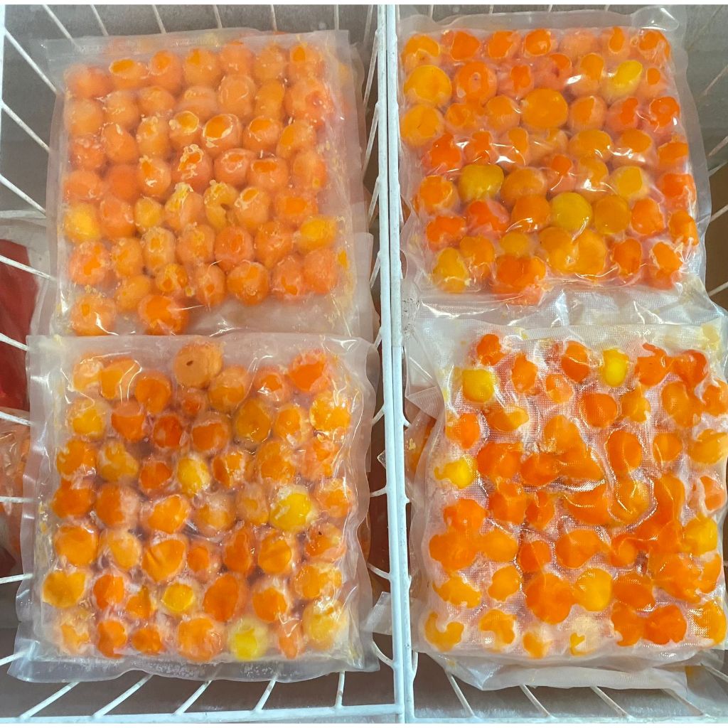 

Kuning Manik Telur Asin 15 Butir