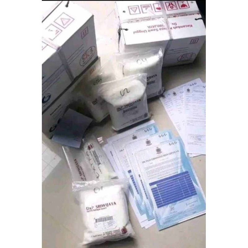 Ready bibit kecambah DxP SRIWIJAYA 5 (SEMIKLON)