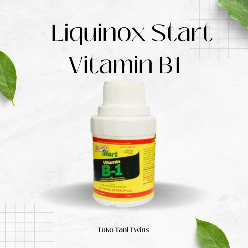 Hormon Perangsang Akar Liquinox Start Vitamin B1