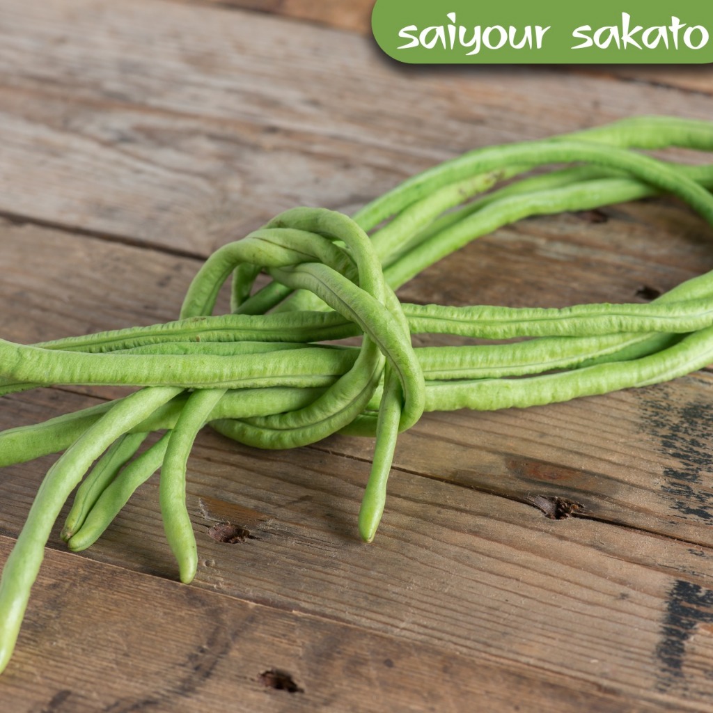 

Kacang Panjang Segar Per Ikat - Saiyour Sakato