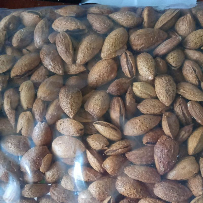 

kacang almond Kulit Cangkang panggang 500gr