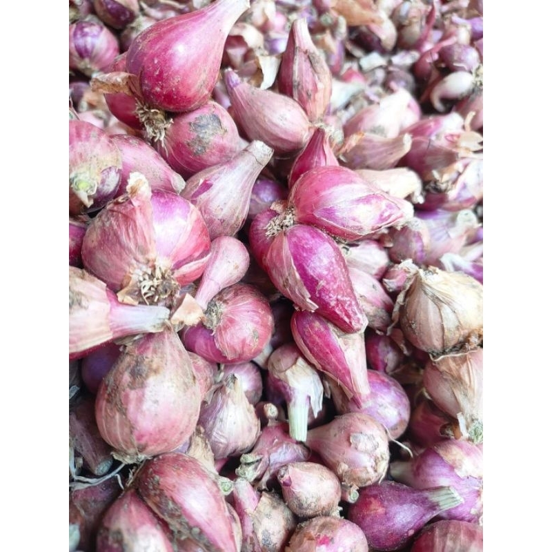 

BAWANGMERAHKERINGMURAH||COD✅||Rempahdapur