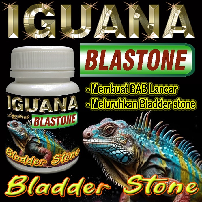 IGUANA BLASTONE KAPSUL OBAT BLADER STONE BS MENGOBATI PENYAKIT BATU KANDUNG KEMIH MELURUHKAN URATES 
